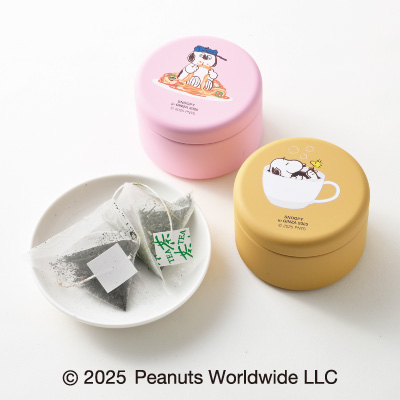 ＜愛国製茶＞煎茶・和紅茶ティーバッグセット