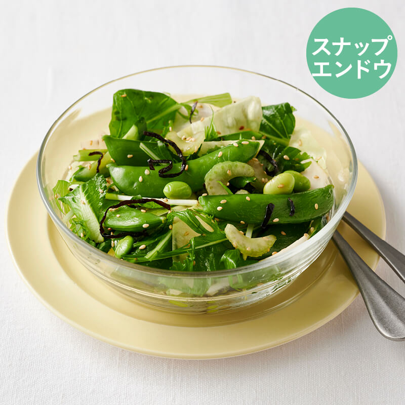 〈ラコッションローゼ〉スナップエンドウ入りグリーン野菜の塩昆布サラダ