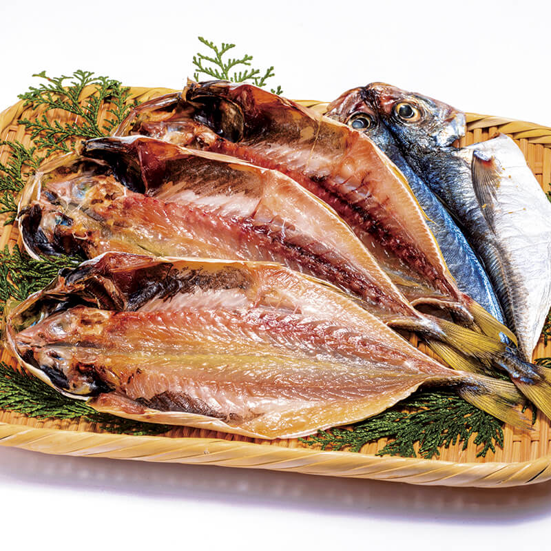 〈魚勢〉長崎県産真アジ