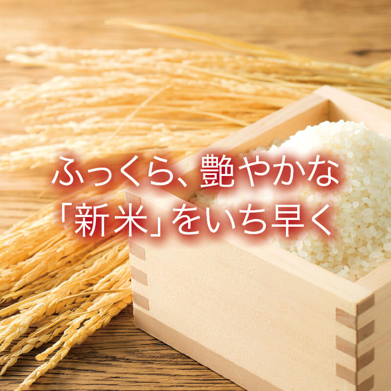 ふっくら、艶やかな「新米」をいち早く