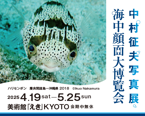 中村征夫写真展 海中顔面大博覧会