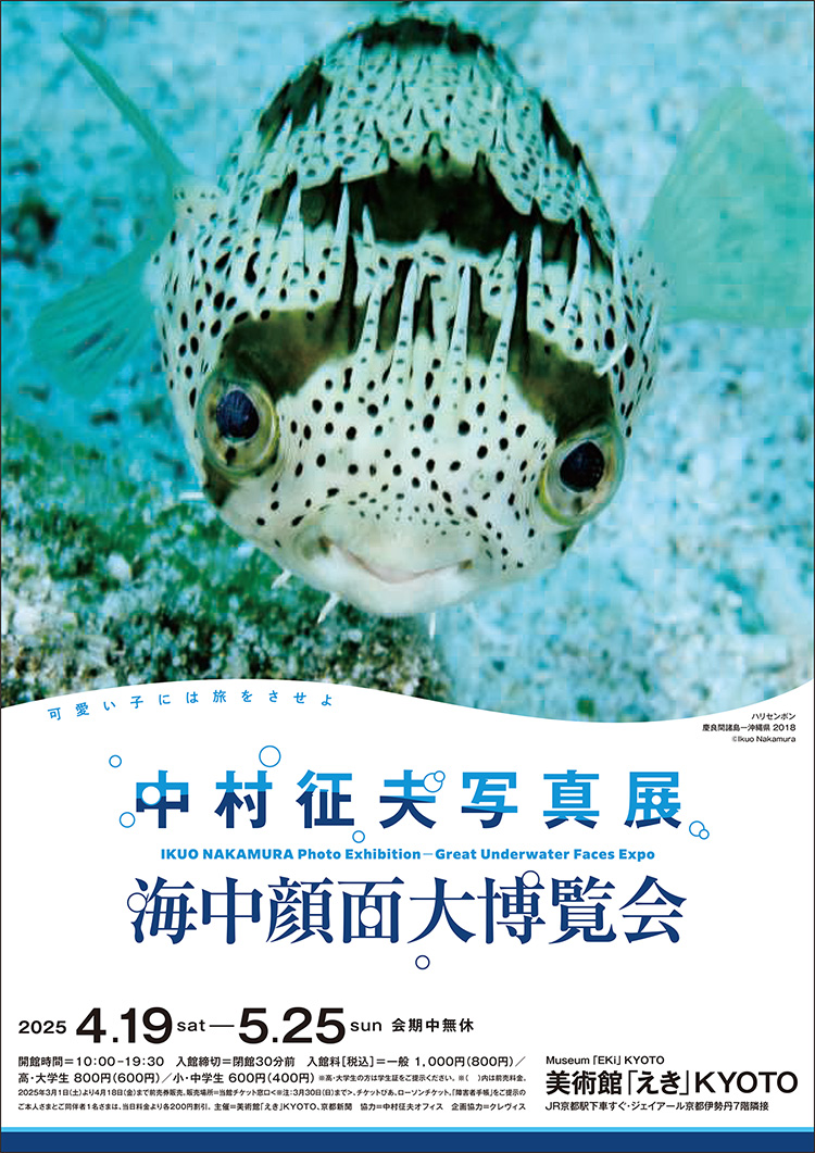 フライヤー表