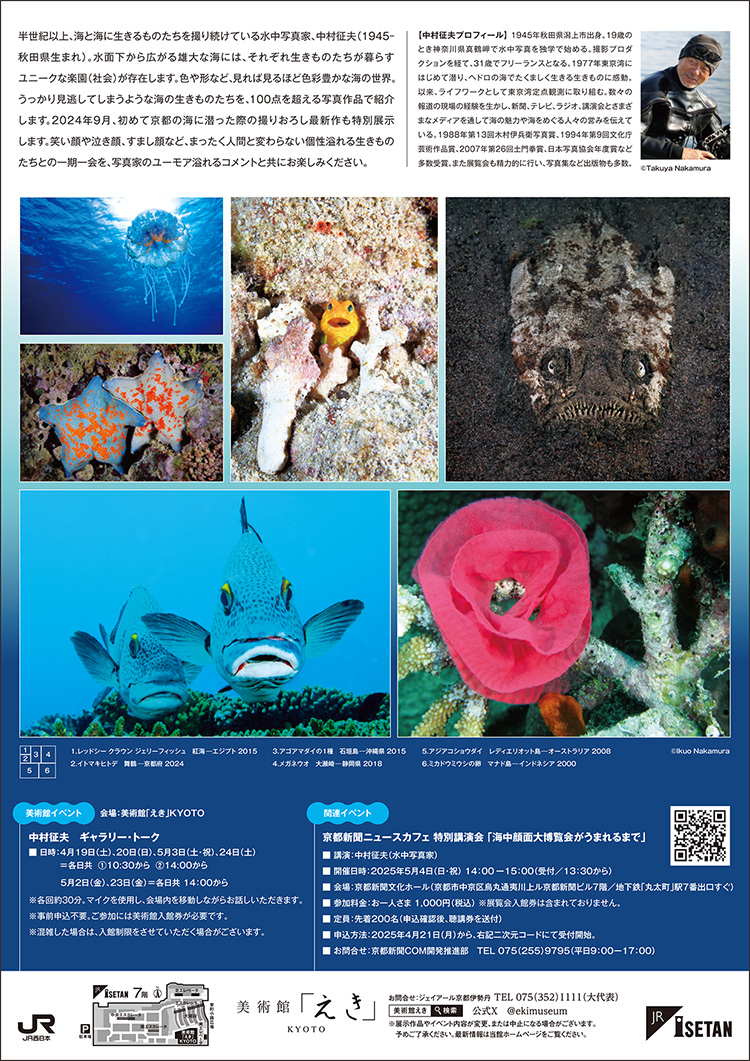 フライヤー裏