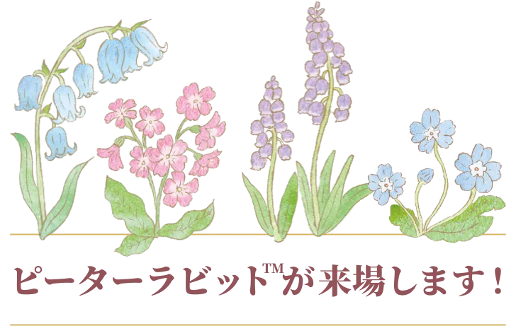 ピーターラビットが来場します！