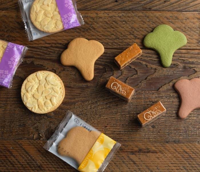 ＜鎌倉紅谷＞が伊勢丹新宿店にオープン。 人気のクルミッ子を主軸に、新たな生菓子も登場。
