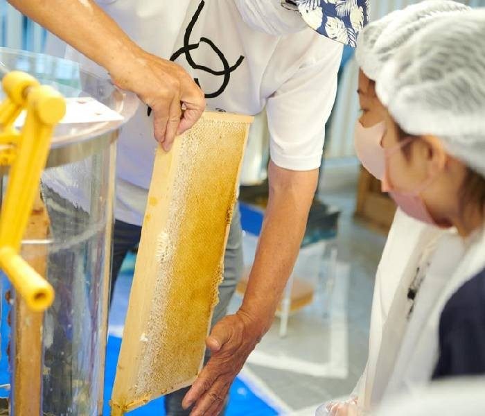 〈MIEL ISETAN SHINJUKU〉ミツバチ博士になれたかな？小学生と新宿育ちのミツバチが触れ合う「BEE SCHOOL」をレポート！