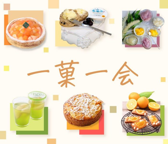 出合った時が買い時！７月の洋菓子「一菓一会」