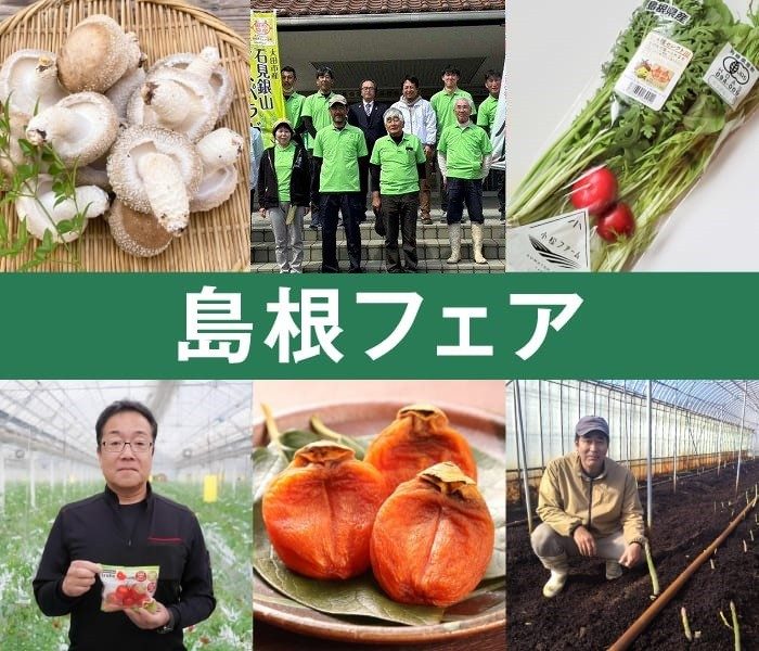 4月19日(土)・20日(日)限定の島根ミニフェアを開催！
