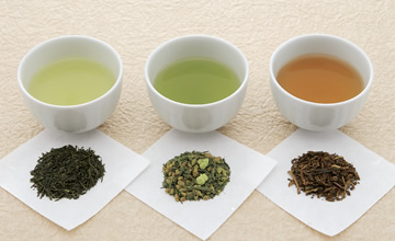 日本茶テロワール