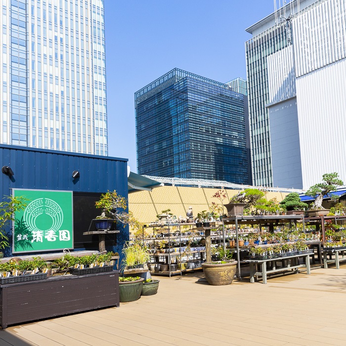 盆栽「清香園」