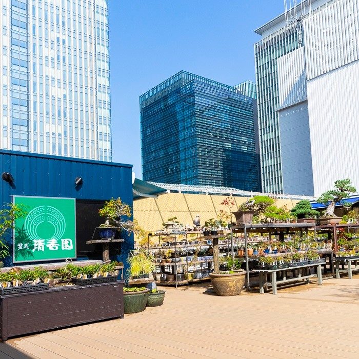 盆栽「清香園」
