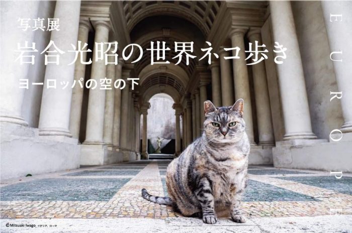 【予告】写真展　岩合光昭の世界ネコ歩き ヨーロッパの空の下