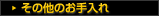 その他のお手入れ