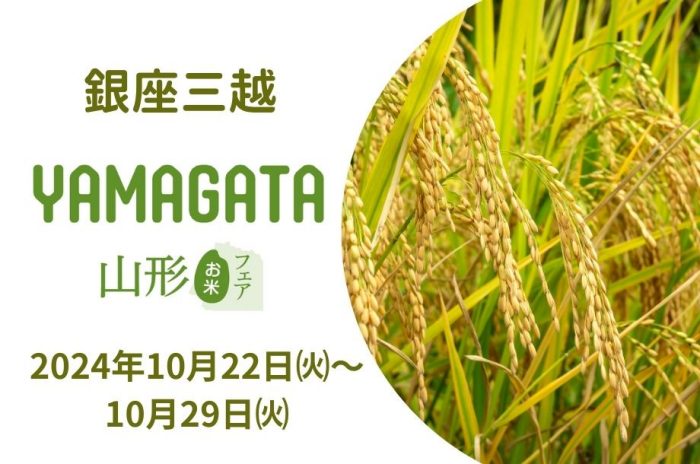 ショップニュース画像