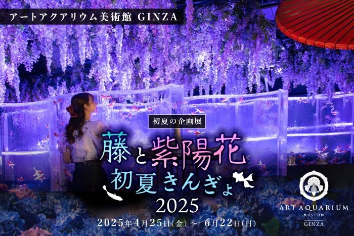 ショップニュース画像