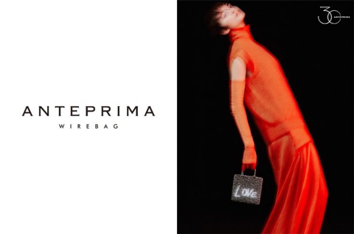 ANTEPRIMA/WIREBAG/アンテプリマ/ワイヤーバッグ＞ AUTUMN