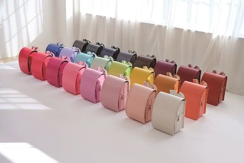 ショップニュース画像