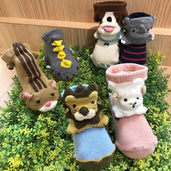 ショップニュース画像