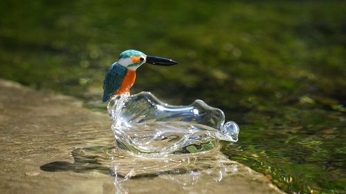 ショップニュース画像