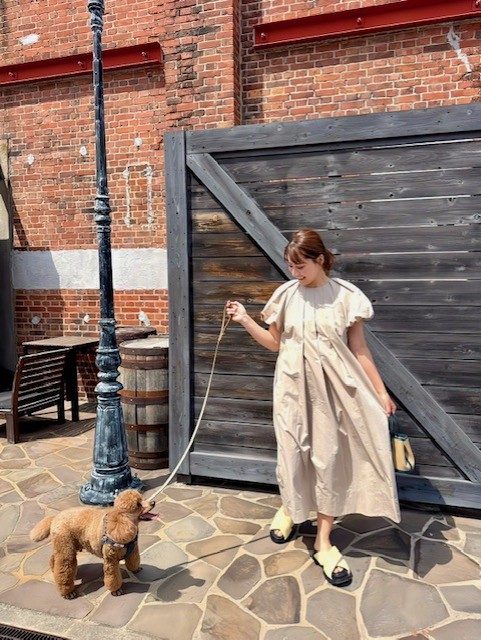 ショップニュース画像