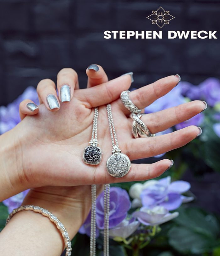 ＜STEPHEN DWECK／スティーブン・デュエック＞
  
  