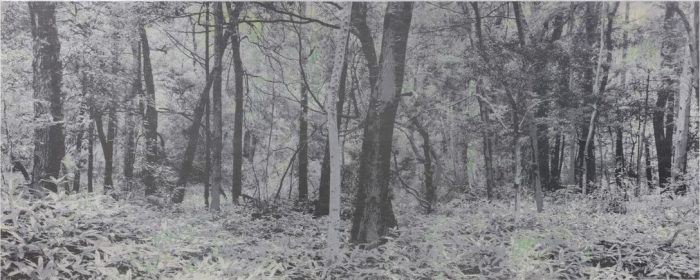 ー生生流転ー　能條 雅由 個展