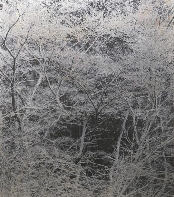 ー生生流転ー　能條 雅由 個展  OTHER NEWS