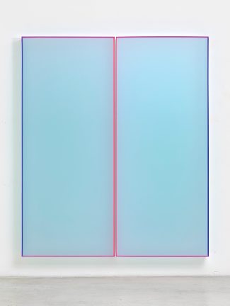 レギーネ・シューマン展　immersion in fluorescent light        