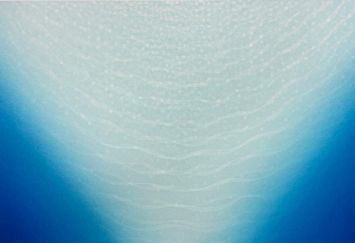 ショップニュース画像