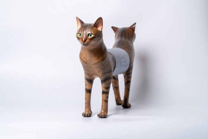 ショップニュース画像