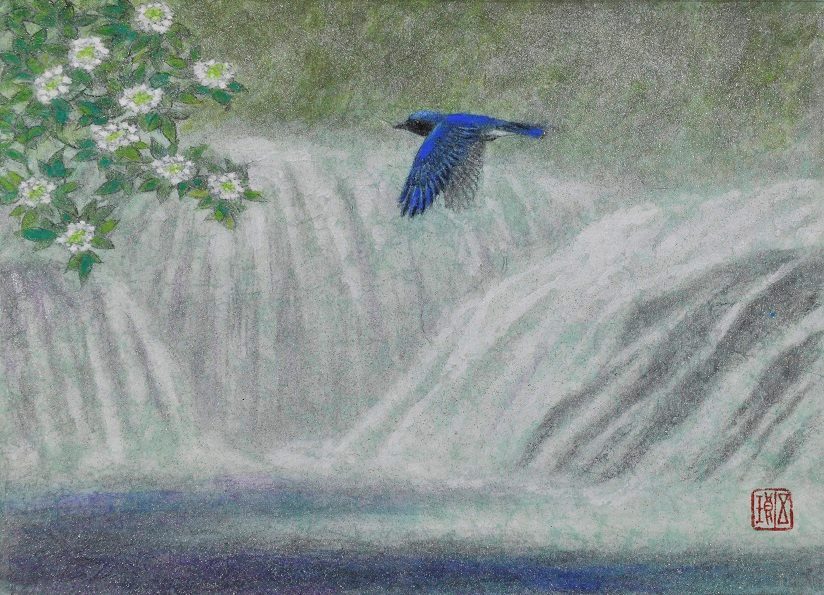 画像