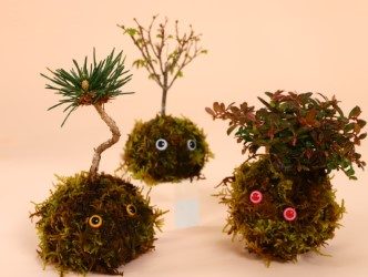 ショップニュース画像
