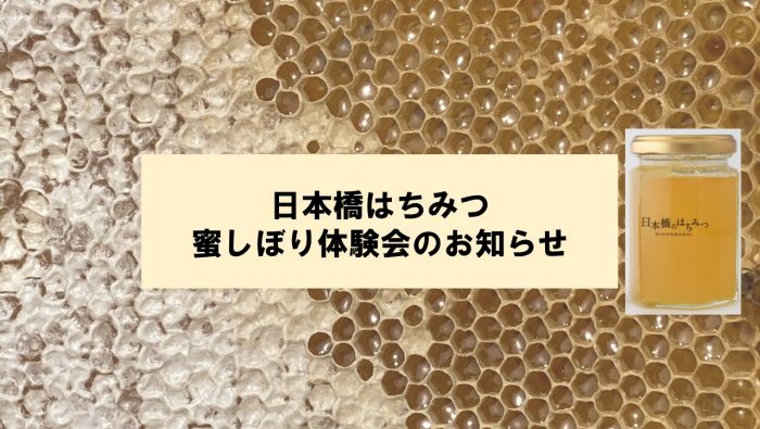 ショップニュース画像