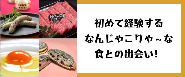 gohantaikan