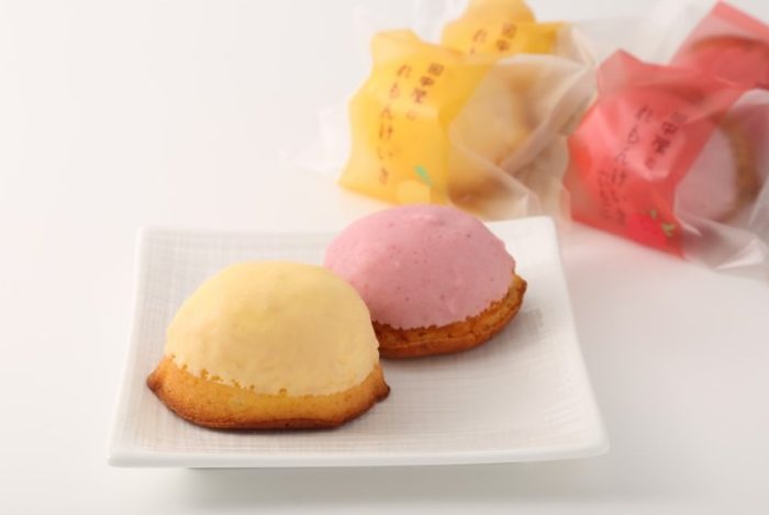 ショップニュース画像