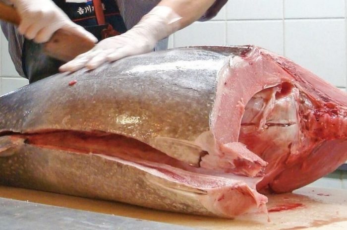 ＜吉川水産＞マグロ解体実演販売のご案内　本館地下1階  