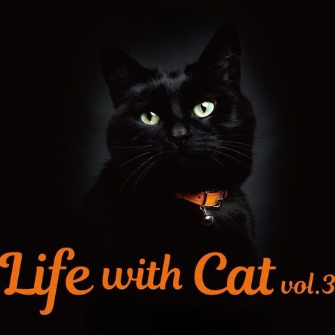 Life with Cat Vol.3