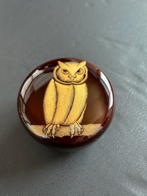 ショップニュース画像