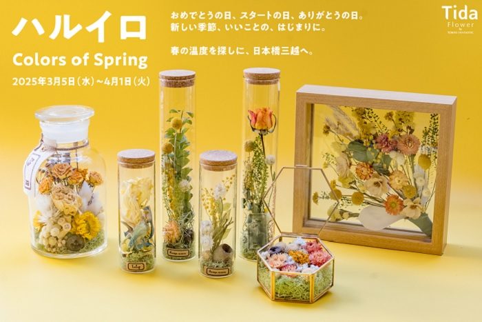 ショップニュース画像