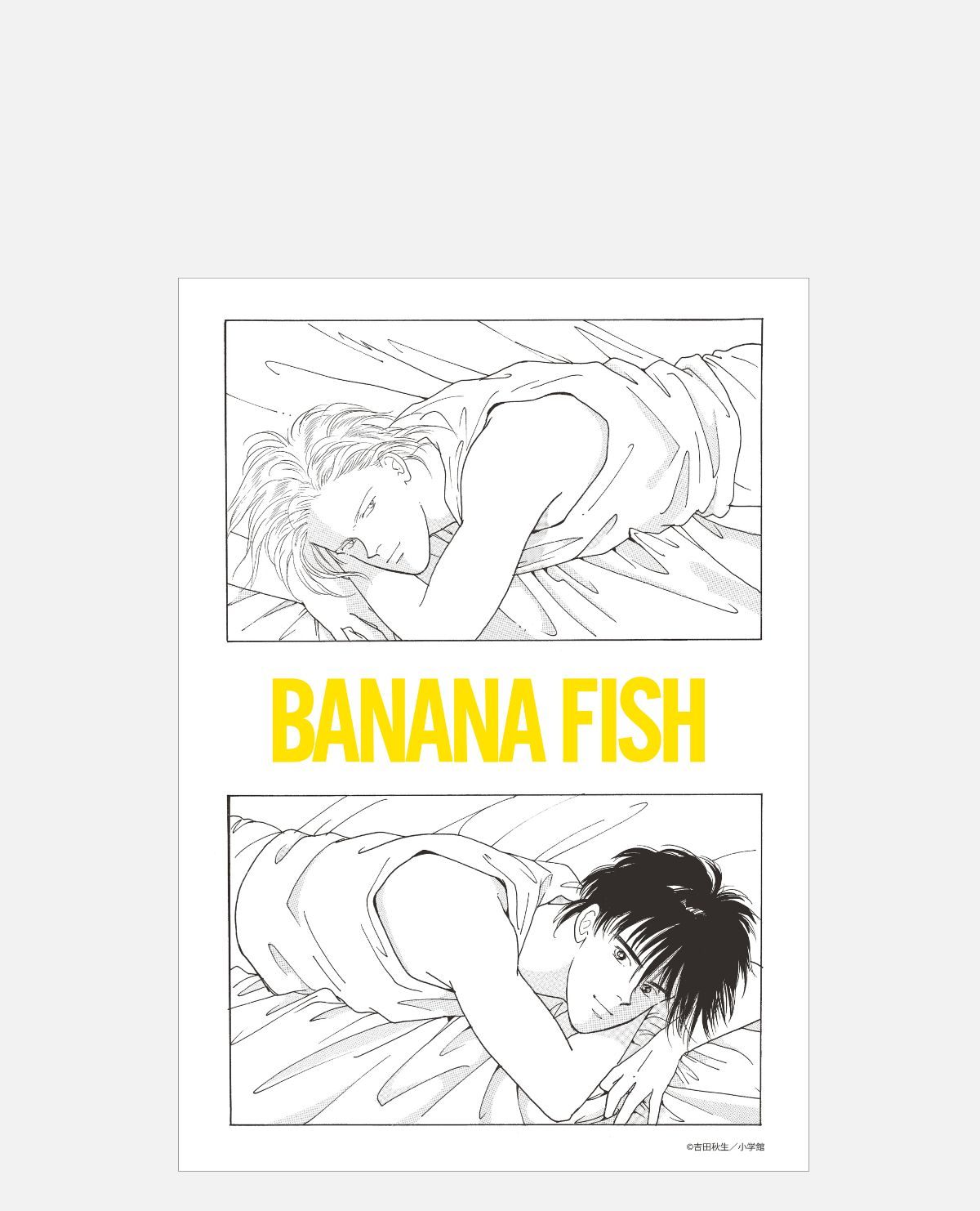 マスターピース漫画コレクション 「BANANA FISH」-ANGEL DAYS