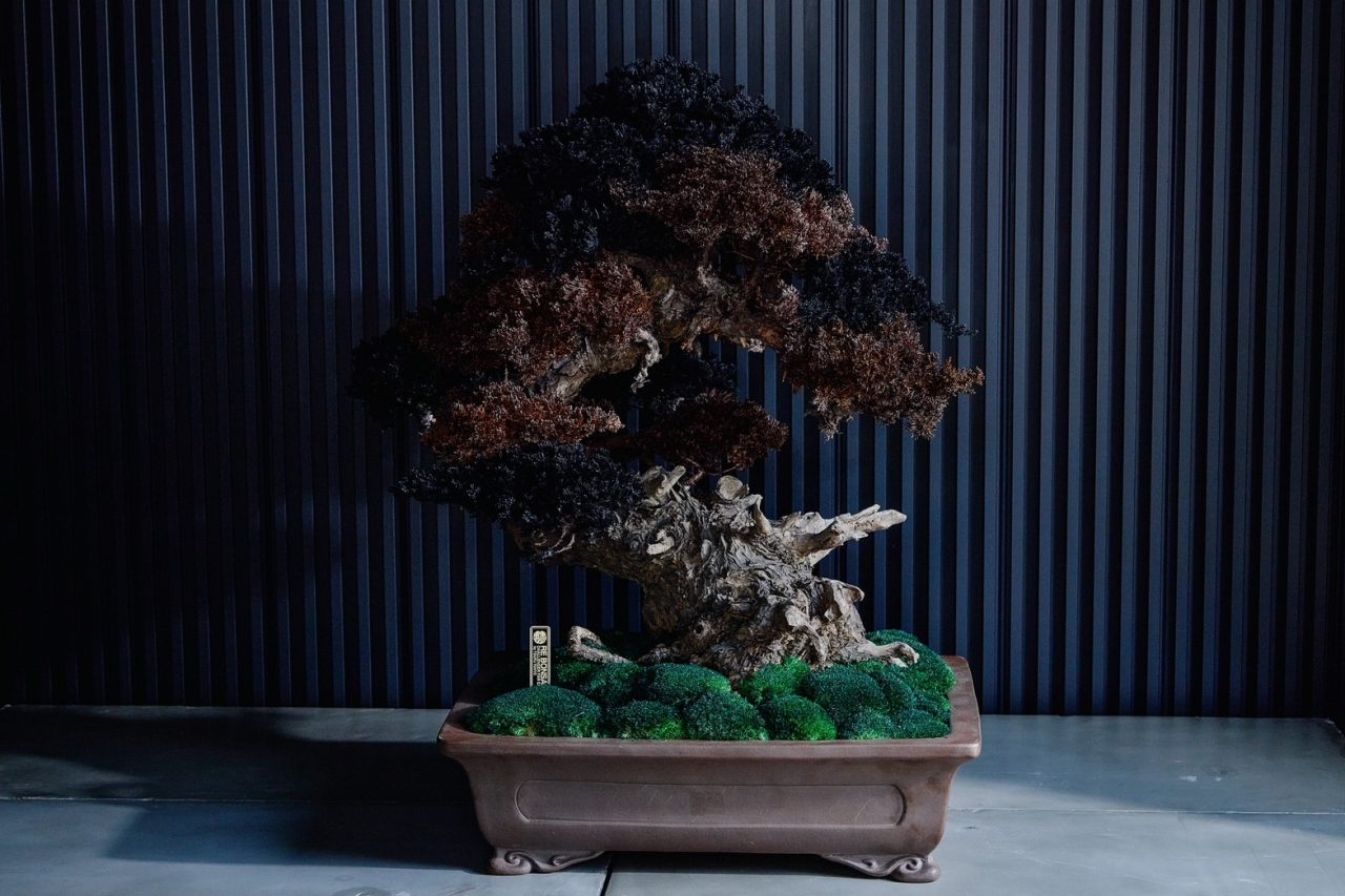 鈴木氏