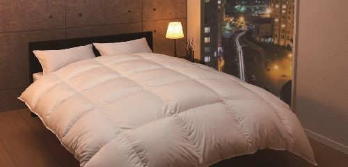 ショップニュース画像