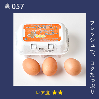 フレッシュで、コクたっぷり