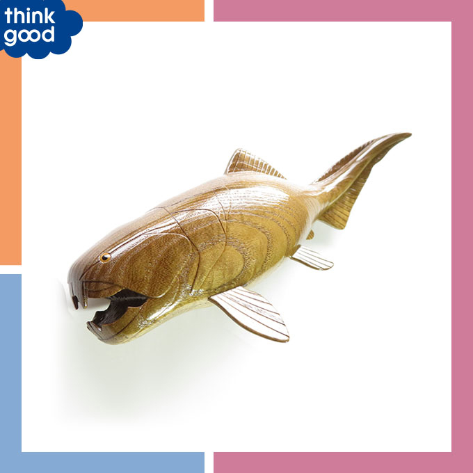 ＜工房木魚＞ダンクルオステウス