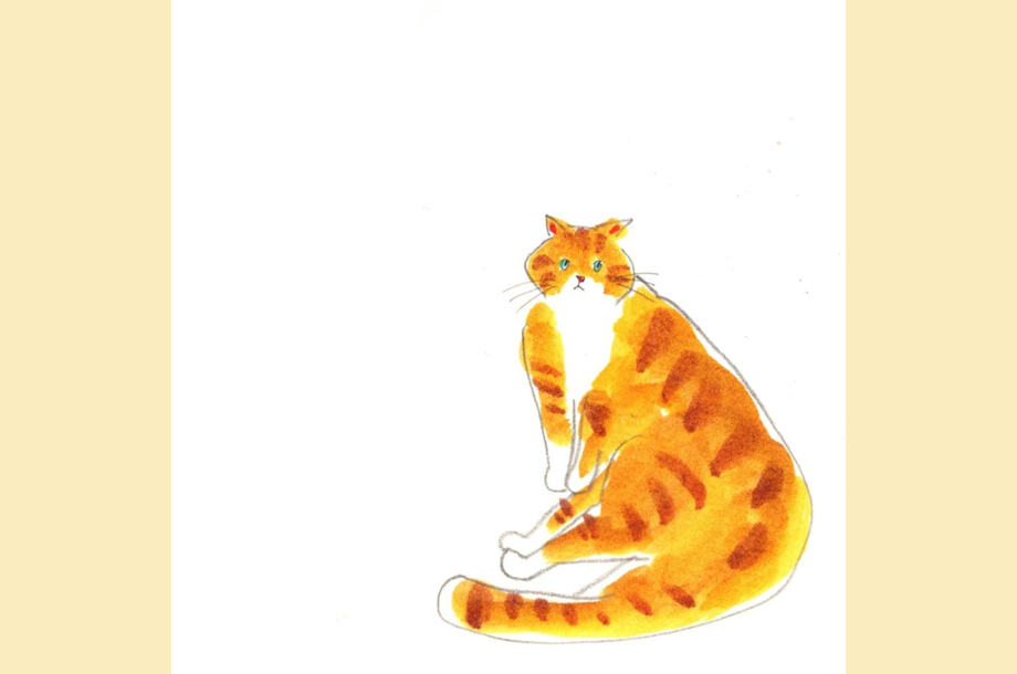 onikuの猫のイラスト