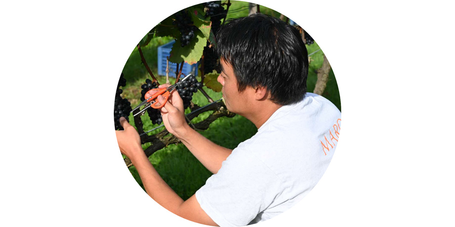 ＜MARO Wines＞代表取締役・醸造責任者 麿直之氏来場