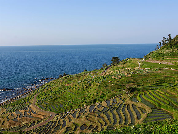 石川県(フード)/イシカワケンのブランド紹介画像