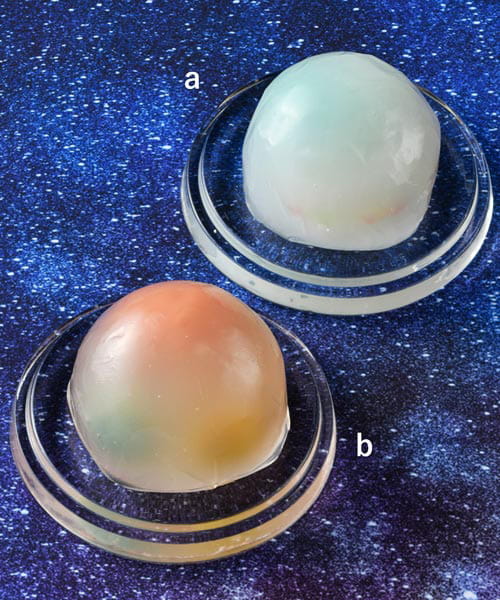 北海道＜わかさいも本舗＞宇宙からみた地球