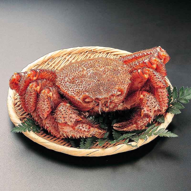 ＜東信水産＞
