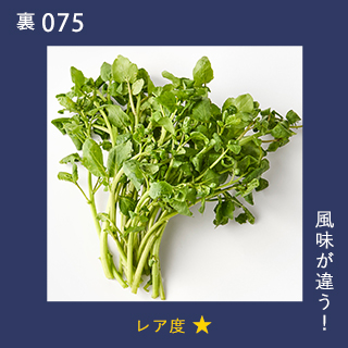 風味が違う！